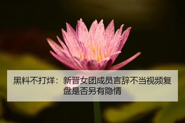 黑料不打烊：新晋女团成员言辞不当视频复盘是否另有隐情